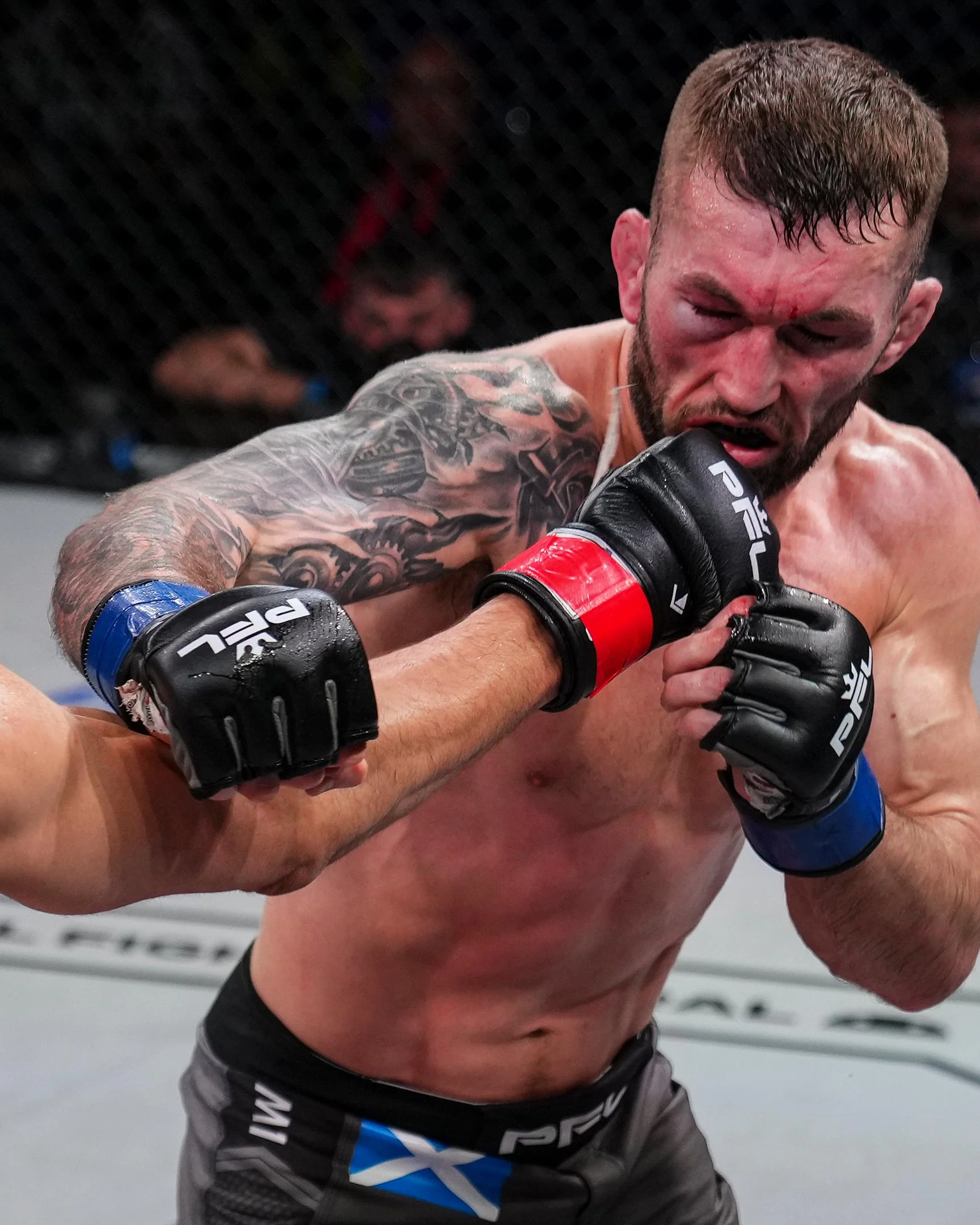 PFL Official MMA Fight Glove - Image 15